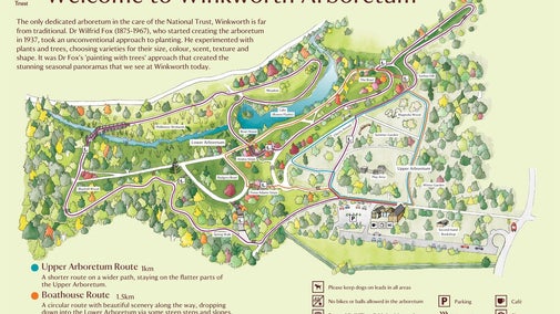 A graphic illustrating a map of Winkworth Arboretum.